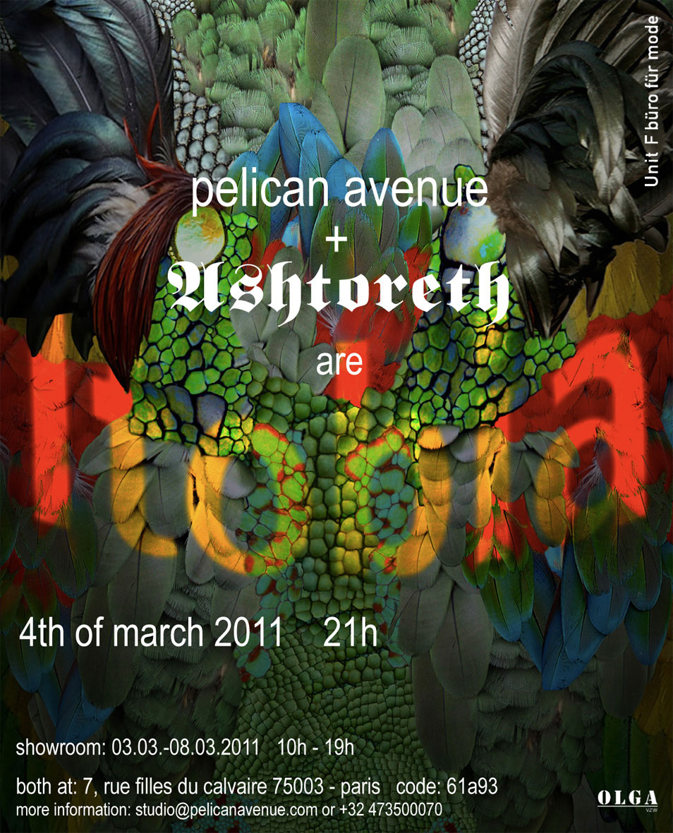 Pelican Avenue A/W 2011/12